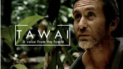 Tawai: A Voice from the Forest