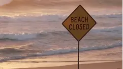 Dozens of Australia Beaches Close After 4 Shark Attacks in 2 Days