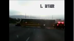 World's Wildest Police Videos