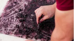 Why Tyrian Purple Dye Is So Expensive