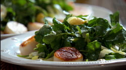 Quick Light and Easy Meal Ideas