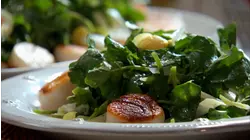 Quick Light and Easy Meal Ideas