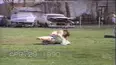 Life's Funniest Moments