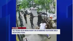 Man stabbed outside of deli after fight in Bedford Park