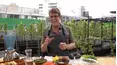 Mexico: One Plate at a Time with Rick Bayless