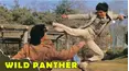 Wild Panther
