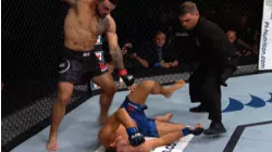 Best Knockouts of 2017