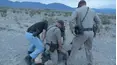 On Patrol: Live