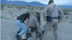 Hidden Gun in the Bushes