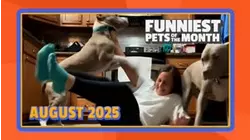 Funniest Pets of the Month | Ep. 2.9