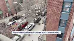 Man critically injured in Bed-Stuy shooting