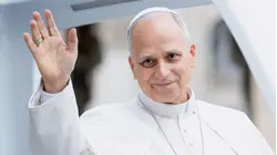 Pope Leo Will Not Need Further Cancer Treatment, Vatican Says