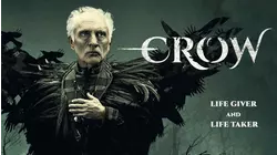 Crow