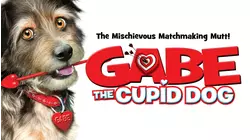 Gabe, The Cupid Dog