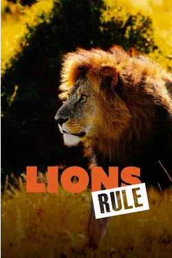 Lions Rule
