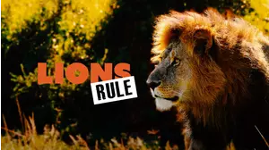 Lions Rule