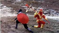 Ninja Fantasy