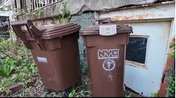 DSNY begins enforcing curbside composting after pause 
