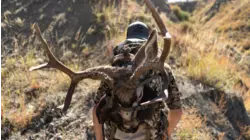 South Dakota Muleys