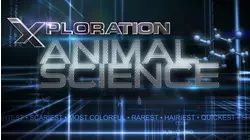 Animals with Super Senses