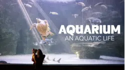 Aquarium: An Aquatic Life