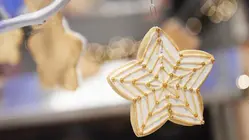 Holiday Hoopla
