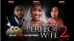 The Perfect Wife 2