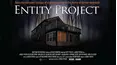 Entity Project