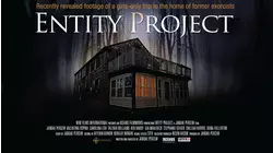 Entity Project