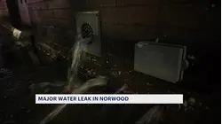 Norwood residents sound alarm as water gushes from vacant buildings leaving sidewalks flooded
