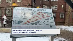 New NYCHA project aims to combat mold and leak issues