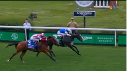 2026 Kentucky Derby preview