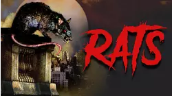 Rats