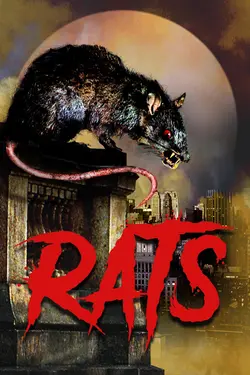 Rats