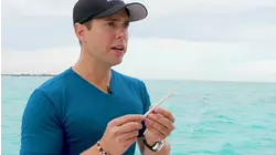 Sting King of the Deep