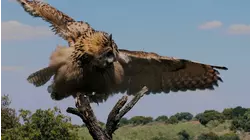 The Fight for Family