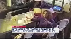 Police seek suspects in Bushwick bar assault