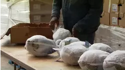 Hundreds given free holiday food ahead of Thanksgiving in Merced