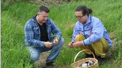 Saint Mary's First Nation, NB