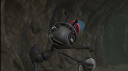 Last Ant