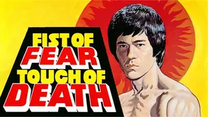 Fist of Fear, Touch of Death