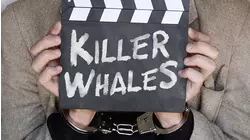 Killer Whales