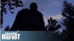 Bigfoot Research and Evidence