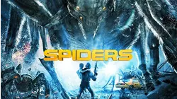Spiders 3D