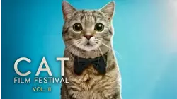Cat Film Festival Vol. 2