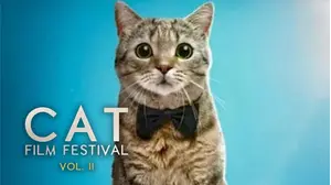 Cat Film Festival Vol. 2
