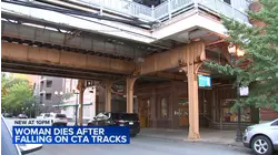 Person dies after falling onto CTA tracks on Near North Side: CPD
