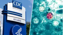 New CDC Data Signal Downward Trend in Cyclospora Outbreak