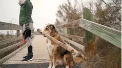 Becoming Borderless: Build a Ladder