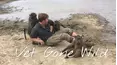 Vet Gone Wild